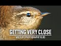 Bird photography from a hide. Ep 4: Finishing touches