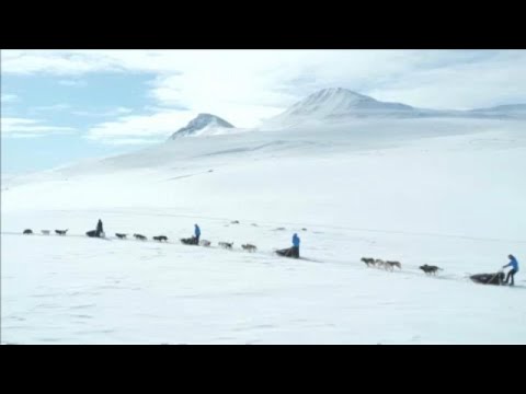 سورتمه سواری با سگ در نزدیکی قطب شمال