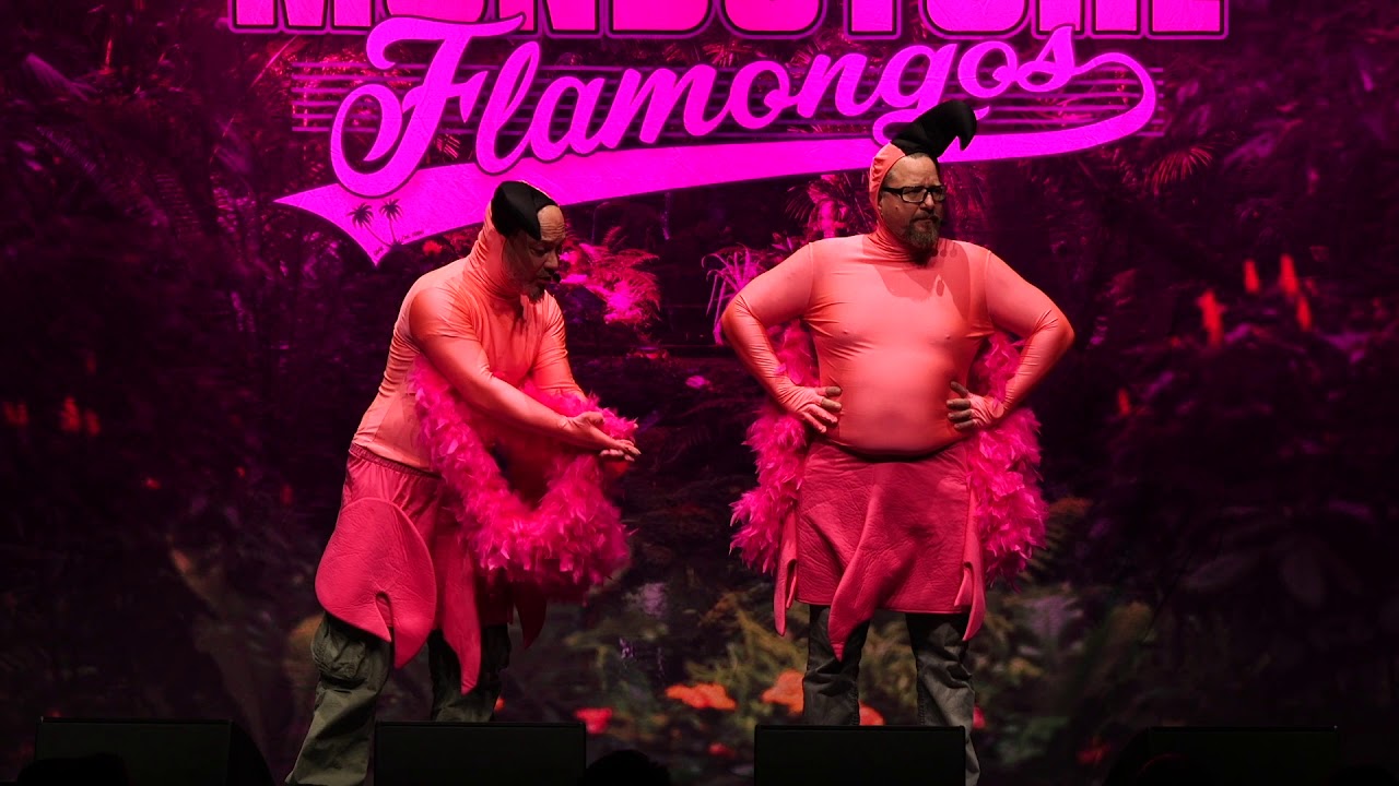 Flamongos here Flamongos there Flamongos everywhere - YouTube