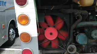 Vinheta Perfeita ...