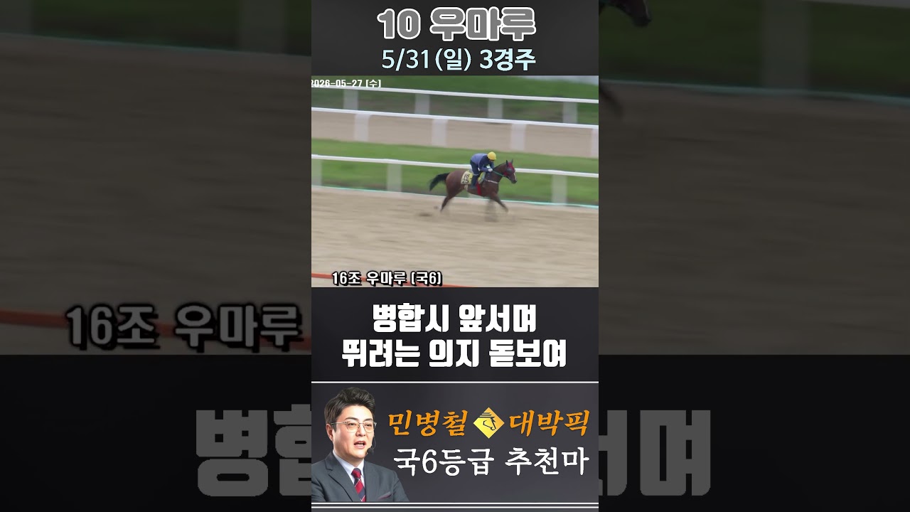 [서울 경마] 민병철 대박픽 2026년 5월 31일 일요 3R 추천마3 #경마 #automobile #하이라이트 #horse #한국마사회 #주식 #https #korean #게임