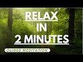 guided  meditation for better mood