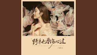野草也曾伤心过