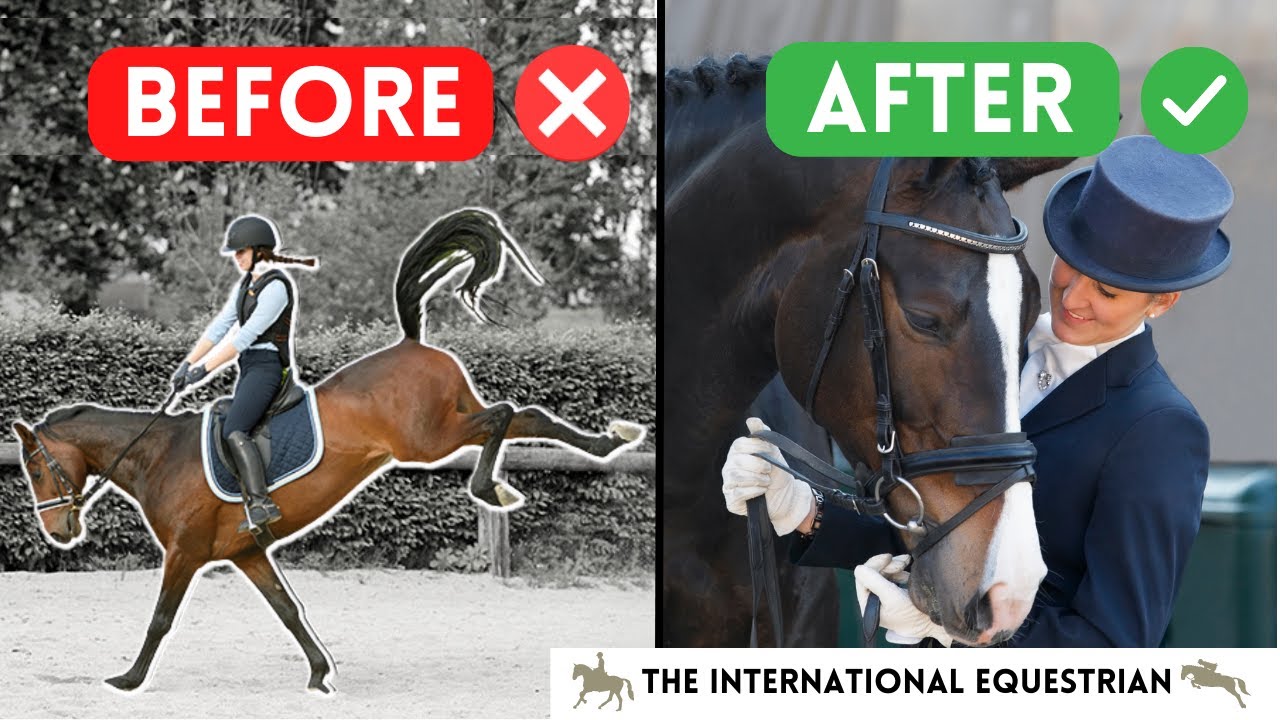 How this dressage rider went from bucking nightmare to half passes and