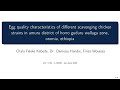 Egg quality characteristics of different scavenging chicken strains in amuru district of horro gudu