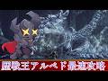 【MHワイルズ】検証勢による初見歴戦王アルシュベルド最速攻略配信はこちら【双剣】