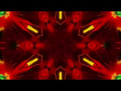 Chozen, Noetika - Costco Bois [OFFICIAL VISUALIZER]