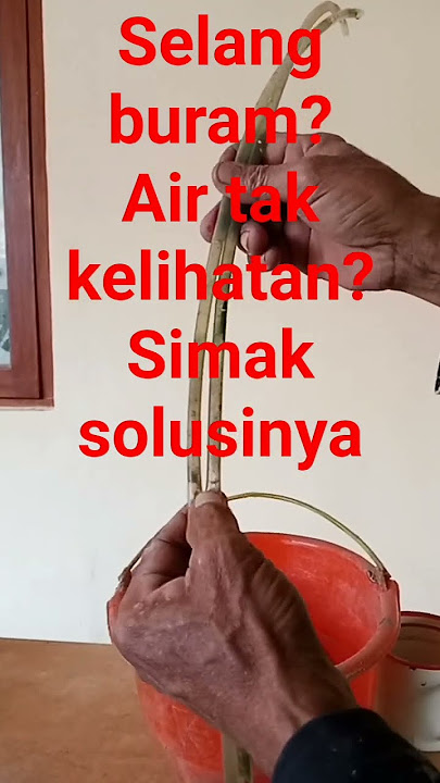 selang buram berjamur?simak solusinya