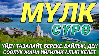 картинка: СҮРӨ АЛ МҮЛК| АР КАНДАЙ ЖАМАНДЫКТАН ЖАНА КӨЗ ТИЙҮҮДӨН КОРГОЙТ, ООМАТ, БЕРЕКЕ ЖАНА ЫРЫСКЫ АЛЫП КЕЛЕТ