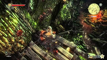 The Witcher 2 - Walkthrough 015 - The Kayran - Part 2 [PC HD]