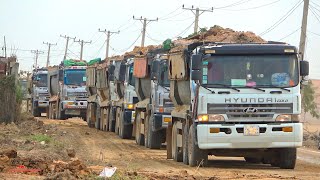 Overload Dumper Truck Group Spreading Dirt Operator With Bulldozer Komatsu Equipment