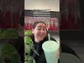 who doesn’t want a Pinterest but for ads…. It’s called Atria#marketinghacks