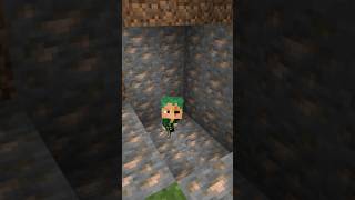 Poi poi of lillyvile members is so cute 🥰🥰@GamerFleet#shorts #lillyville #minecraft #gamerfleet