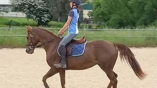 Cleo flat work
