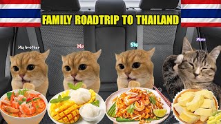 Cat Memes Family Vacation Compilation To Thailand