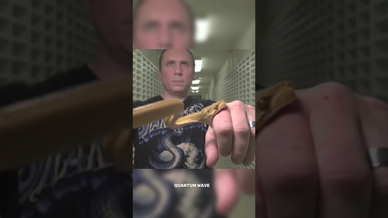 poison extractor pump