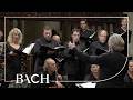 Bach - Cantata Halt im Gedächtnis Jesum Christ BWV 67 - Van Veldhoven | Netherlands Bach Society