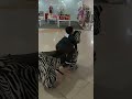 Robinsons balibago🙂