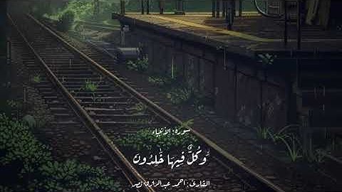 الشيخ أحمد عبد الرزاق نصر  . سورة الأنبياء.