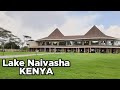 Lake naivasha kenyahipposflamingosgiraffebeautiful naturetravel vlogsakshatafatnani