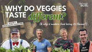 Why Vegetables Don’t Taste Like They Used To | Soil, Flavour & Nutrition