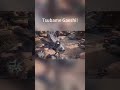 Tsubame Gaeshi!#MonsterHunter #MonsterHunterWilds #game #MHW #MonsterHunterMemes