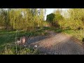 Дендропарк Нижние Мневники 20210511