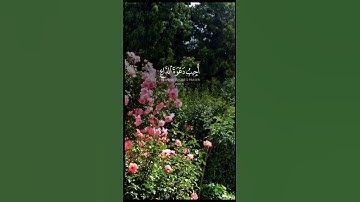 صدق الله العظيم 🤲 #quran #اكسبلور #foryou #تلاوة_خاشعة #قرآن #قران_كريم #راحة_نفسية #follow #fypシ