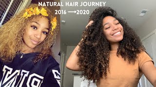 Natural Hair Journey w/ pictures | How I Transitioned With NO BIG CHOP (Heat/Color Damage)