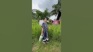 Primadona janda dari kampung #mulus #cantik #wanitacantik #wanita #shortsviral #shortvideo #tranding