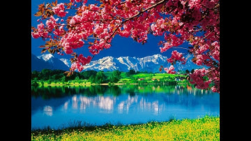 KHỞI ĐẦU KHÁC CỦA HEIDEGGER (VII-X), Trần Công Tiến  #Heidegger #tiencongtran