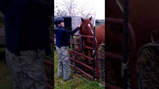 Coregoddess Checking Out A Horse
