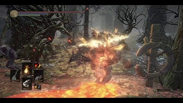 Dragon God Invader Miniboss - Dark Souls 3 Cheat Engine Hacked Cosplay