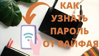 Забыт пароль Wifi? Как посмотреть пароль от вайфая