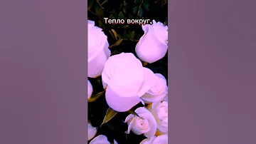 Женская весна 
