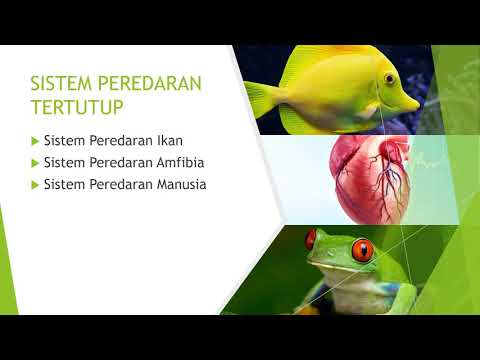 BIOLOGI TINGKATAN 4 : 10.1 JENIS SISTEM PEREDARAN