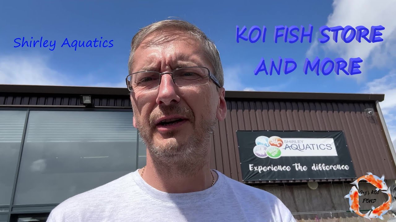 KOI FISH STORE AND MORE koi koifish keepsmiling YouTube