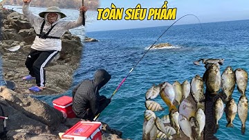 Tổ Đãi Săn Toàn Cá Dò Khủng, Câu Cá Biển Tự Nhiên, Câu Ghềnh, Cá Dìa, Cá Dò. TÝ FISHING.