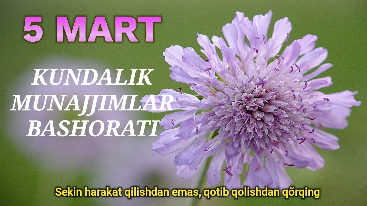 5 Март Кундалик Юлдузлар Башорати 2026