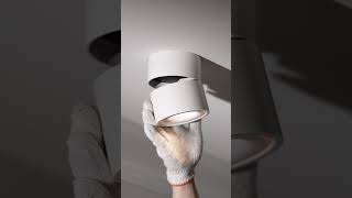 Artemis Surface Downlight