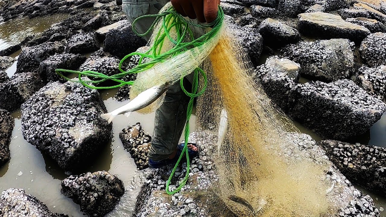 Menjala Ikan DiPANTAI BAHAGIAN 2 - JUMPA KAMPUNGAN IKAN ...
