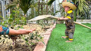Bibi helps grandma get a shovel to plant ornamental plants