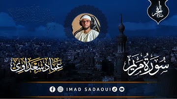 مقطع من أواخر سورة مريم | صلاة الفجر 1447 هـ | عماد سعداوي