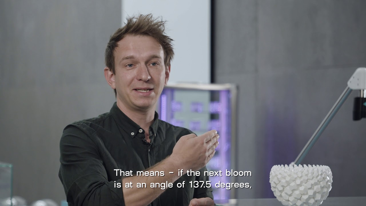 Nature Structure (EN)