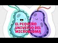 Microbioma el pequeño universo dentro de ti