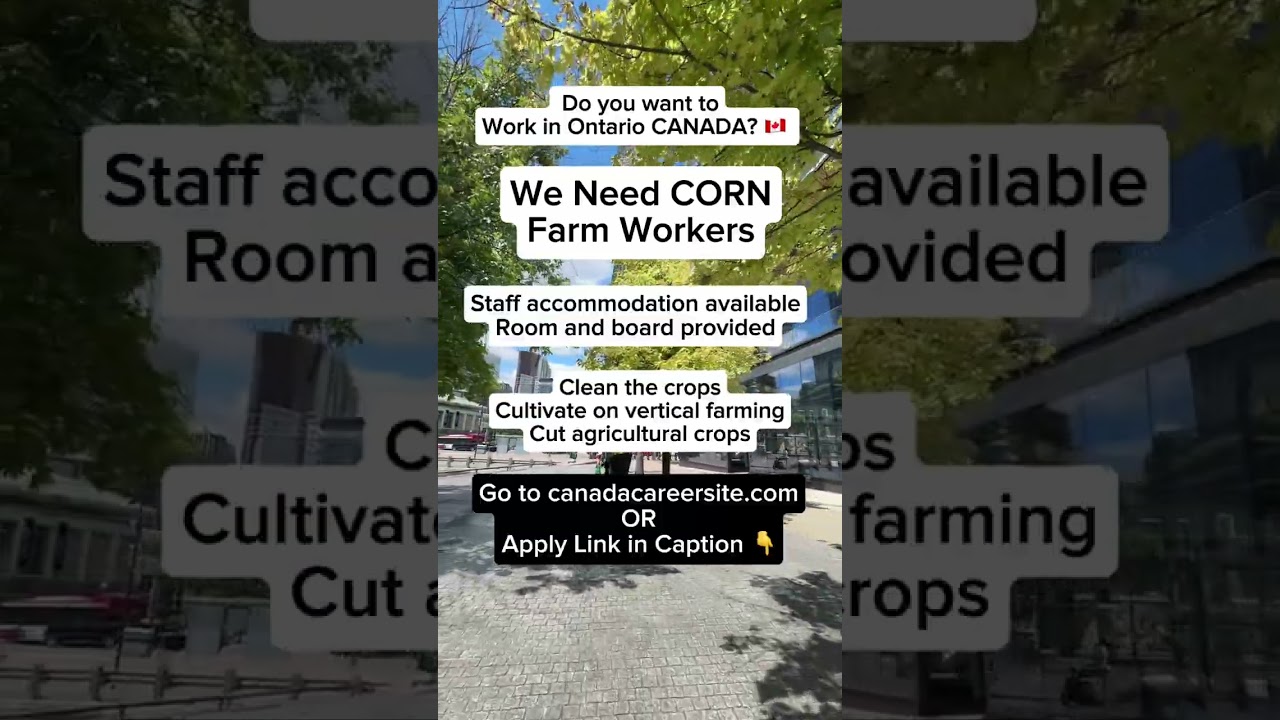 🇨🇦 Hiring Corn Farm Workers | canadacareersite.com