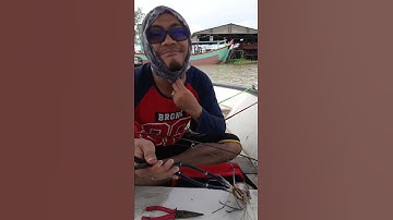 Jenggo Udang Galah Sungai Perak Teluk Intan