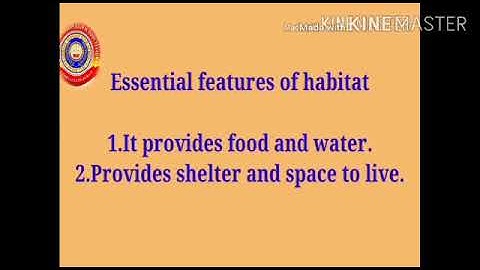KRSMA#Standard 4 EVS Part 2 Chapter 1 Fields And Forests