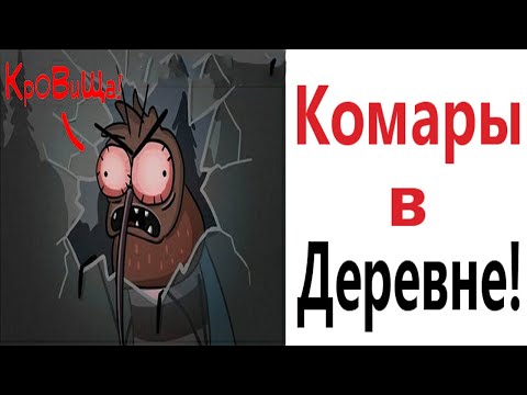 Лютые приколы. КОТ ПРОТИВ КОМАРОВ!!! Тест на психику! Засмеялся проиграл! – Domi Show!