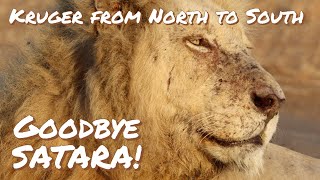 Kruger in Spring North to South | Goodbye SATARA | Ep8 | Sept 2023 | Casper the white Lion